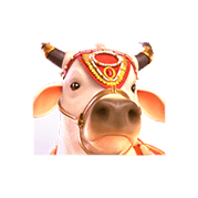 Ganesha Fortune เกมสล็อตพระพิฆเนศ กับโชคลาภแห่งคเณศ 2024 4 ganesha-fortune_1x_sacred_cow_symbol